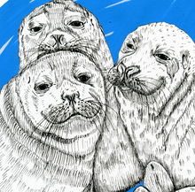 Load image into Gallery viewer, Besties A5-A2 Digital Fine Art Print SEAL Illustration